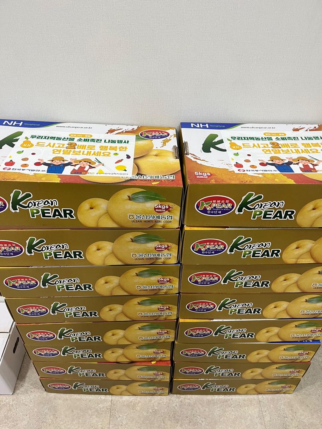 KakaoTalk_20221202_164547894.jpg
